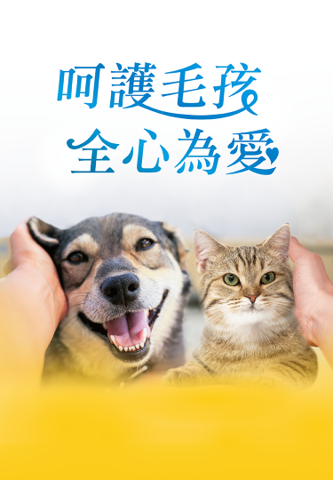 Hi-Q pets呵護毛孩全心為愛