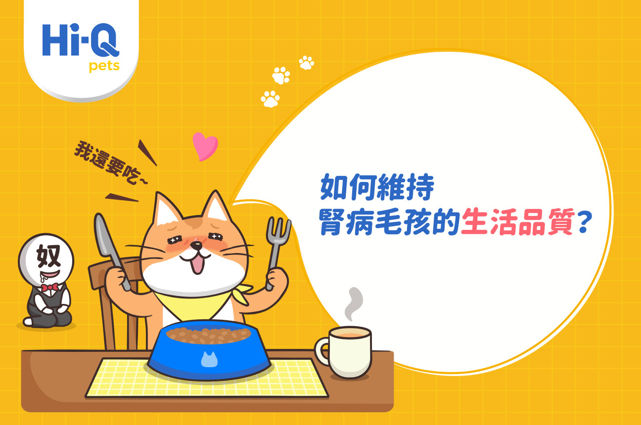 照顧腎病毛孩有訣竅!?讓鐘昇樺醫師告訴你!