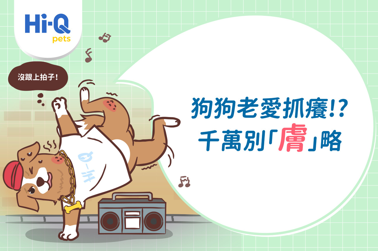 為什麼狗狗一直抓癢?陳儀倫院長教你進行毛孩日常皮膚保養!